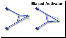 Diagram 8: Biased Activator